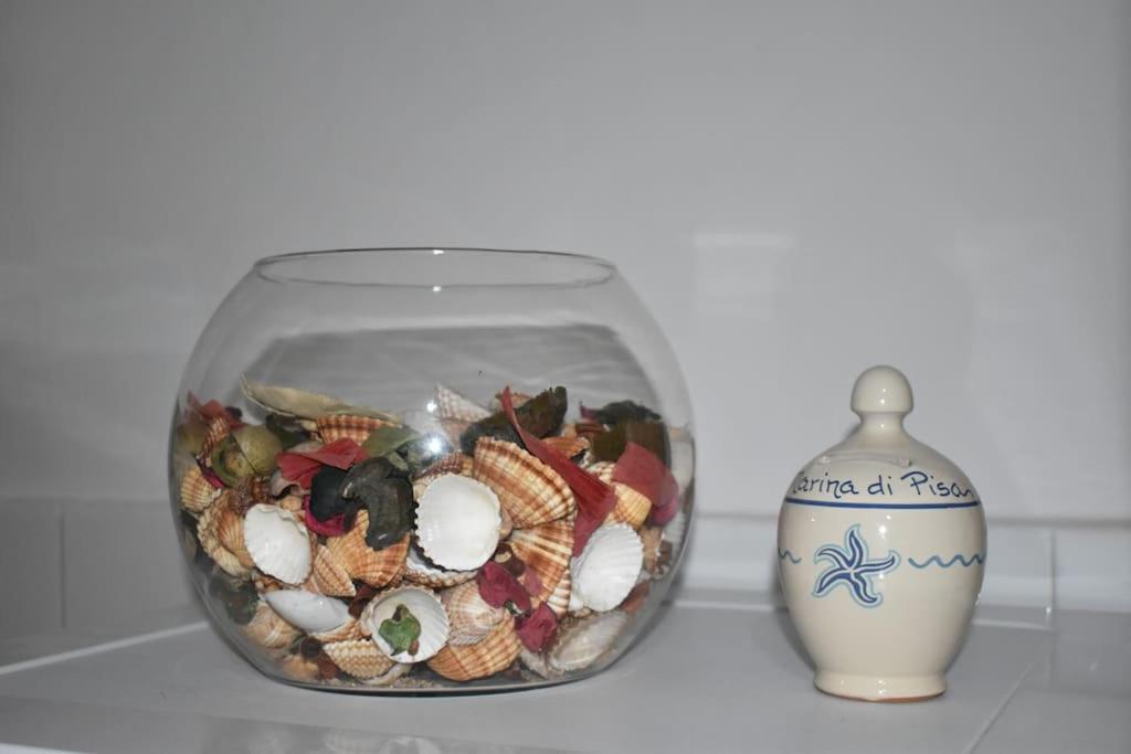 فيلا Villino La Perla Azzurra- مارينا دي بيزا المظهر الخارجي الصورة